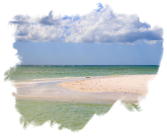 BE Honeymoon Island FL Shoreline